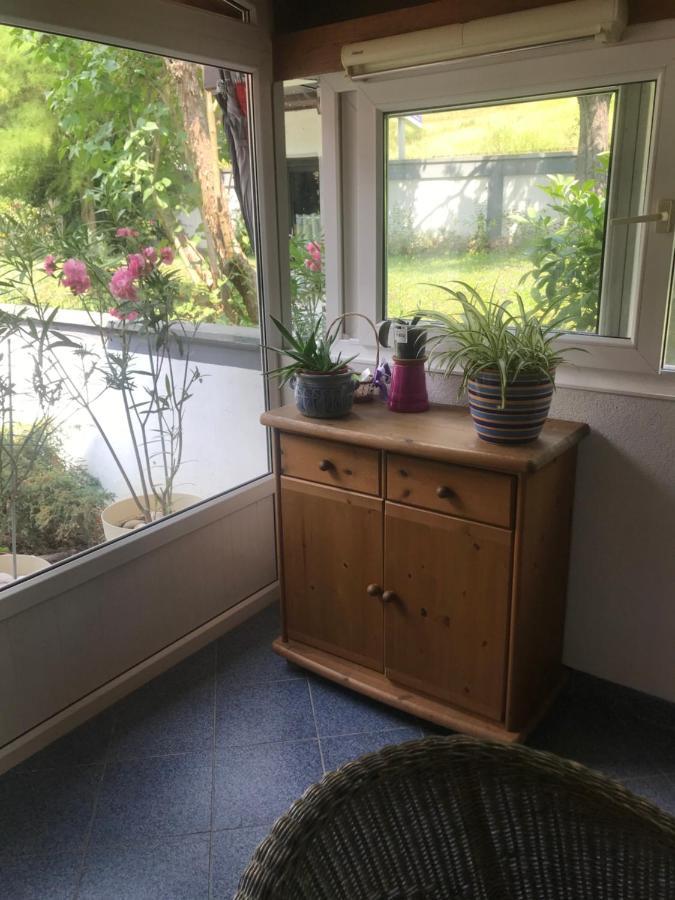 Apartment Hava